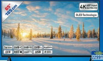 Metro Oled tv 65a29la Angebot