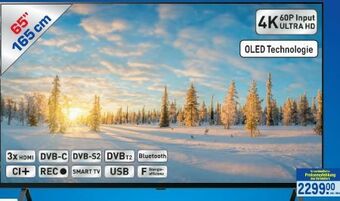 Metro Oled tv 65a29la Angebot