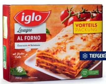 Hofer Lasagne Angebot