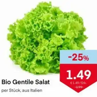 MPreis Bio Gentile Salat per Stk. Angebot