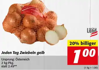 Strasser Markt Jeden Tag Zwiebeln gelb 2 kg- Pkg. Angebot