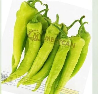ETSAN Spitze pfefferoni Angebot