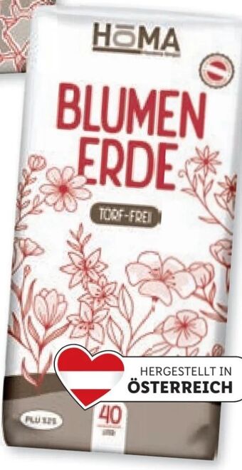 Lidl Blumenerde Angebot