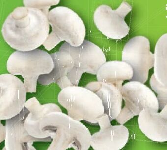 Lidl Champignons Angebot