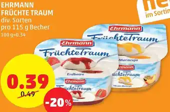 PENNY Ehrmann Früchte Traum 115g Angebot