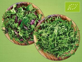 Lidl Mix-salat oder rucola Angebot