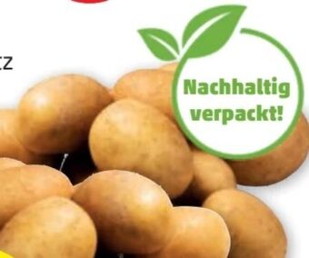 PENNY Erdäpfel Angebot