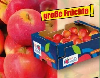 Norma Äpfel Angebot
