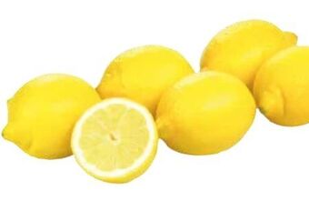 Transgourmet Zitronen Angebot