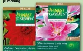 Norma Exklusive frühjahrsblumenzwiebeln de luxe Angebot