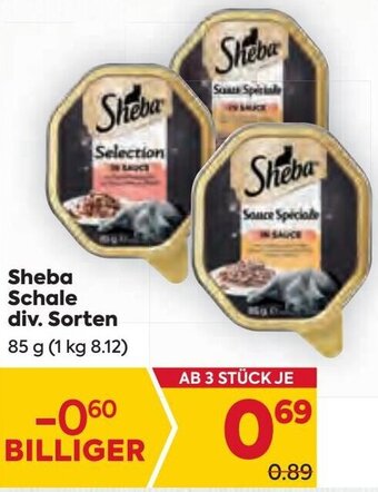 Billa Sheba Schale div. Sorten 85 g Angebot