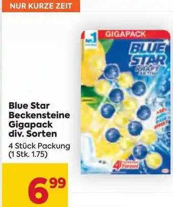 Billa Blue Star Beckensteine Gigapack div. Sorten 4 Stk. Angebot