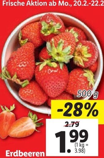 Lidl Erdbeeren Angebot