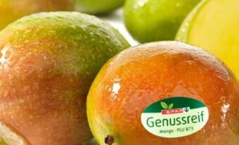 Spar Mango Angebot