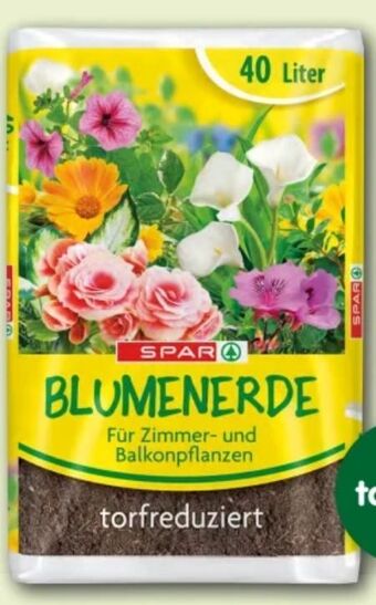 Interspar Blumenerde Angebot