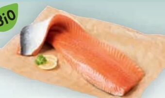 Billa Bio lachsfilet Angebot
