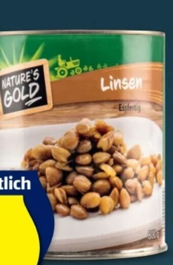 Hofer Linsen Angebot