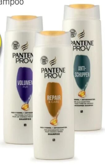 Hofer Shampoo Angebot