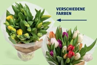 Hofer Tulpen bouquet Angebot