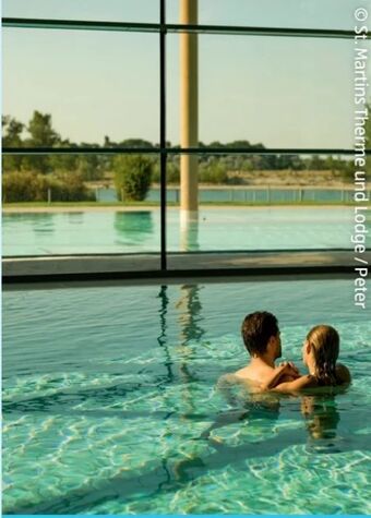 Hofer Burgenland neusiedler see halbturn Angebot