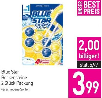 Sutterlüty Blue Star Beckensteine 2 Stk. Packung Angebot