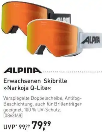 Intersport Alpina Erwachsenen Skibrille Narkoja Q-Lite Angebot