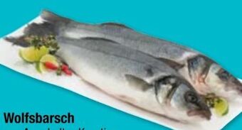 Maximarkt Wolfsbarsch Angebot