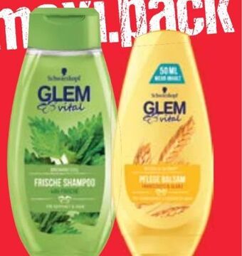 Maximarkt Glem vital shampoo Angebot