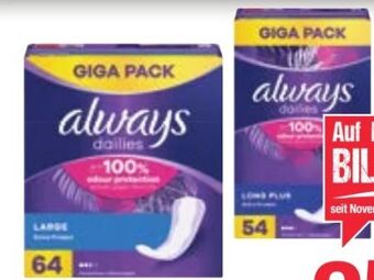Maximarkt Slipeinlagen Angebot