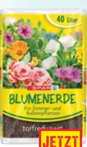 Maximarkt Blumenerde Angebot