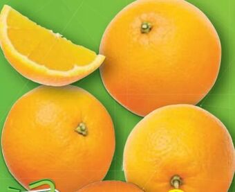 Lidl Orangen Angebot