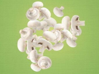 Lidl Champignons weiß Angebot