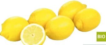 Transgourmet Bio zitronen Angebot