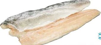 Transgourmet Forellenfilet Angebot