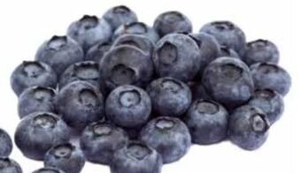 Transgourmet Heidelbeeren Angebot