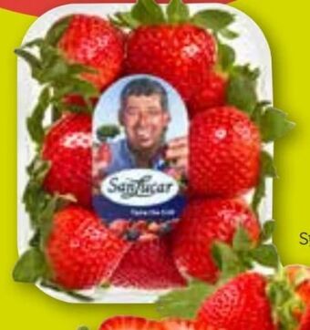 ADEG Erdbeeren Angebot