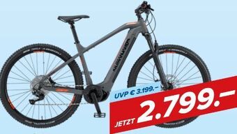 Hervis E-bike e-power race 29 Angebot
