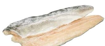 Transgourmet Forellenfilet Angebot