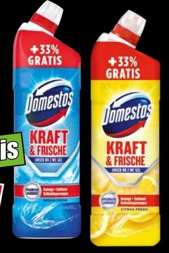 Norma Wc gel Angebot