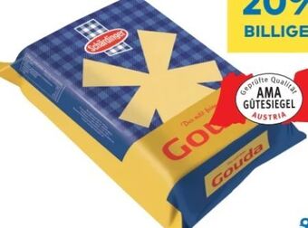 T&G Gouda Angebot