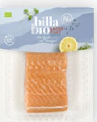 Billa Bio lachsfilet Angebot