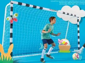 Interspar Fußballtor stadion Angebot