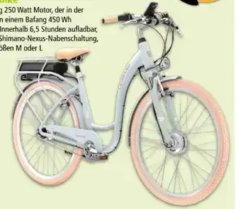 Interspar E-citybike legrand elille Angebot