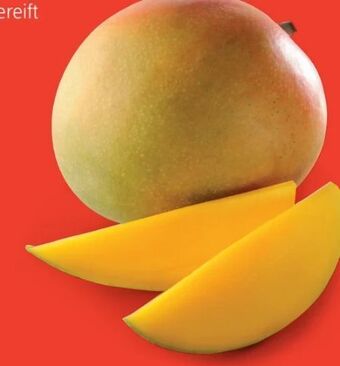 Hofer Iss reif! mango Angebot