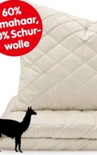 Interspar Polster lama Angebot