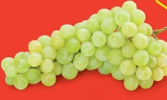 Hofer Trauben Angebot