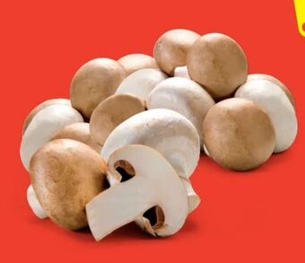 Hofer Champignons Angebot