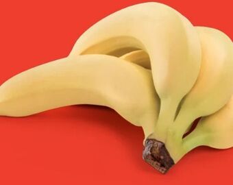 Hofer Bananen Angebot