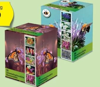 Hofer Blumenzwiebeln Angebot