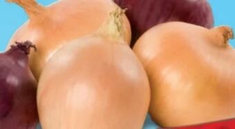 Hofer Zwiebeln Angebot